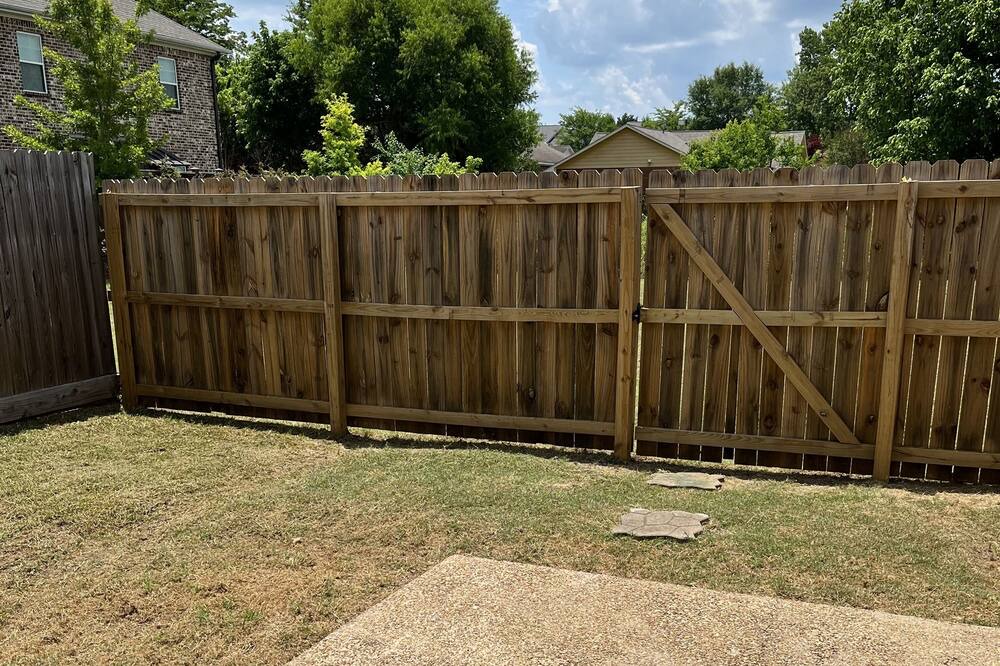 Photo of Others in Starkville