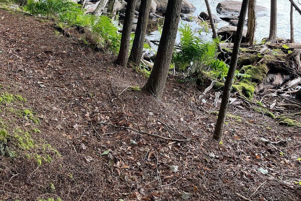 Photo of Outdoor in Raquette Lake