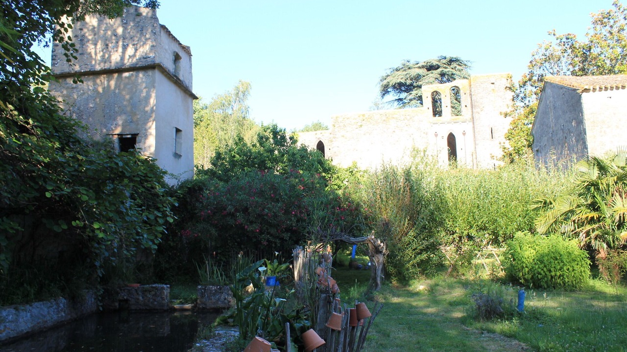 Photo of Outdoor in Saint-Martin-le-Vieil