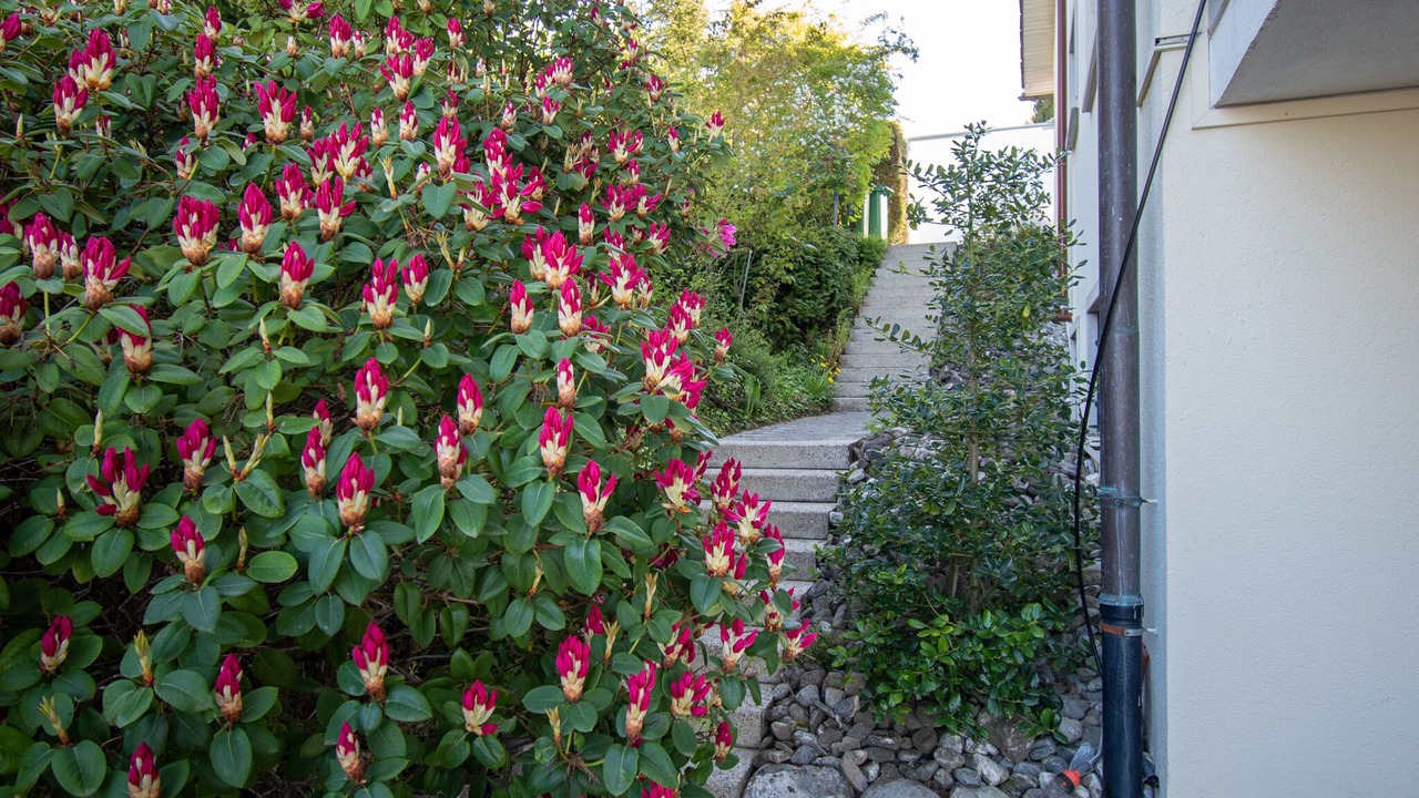 Photo of Outdoor in Goldach