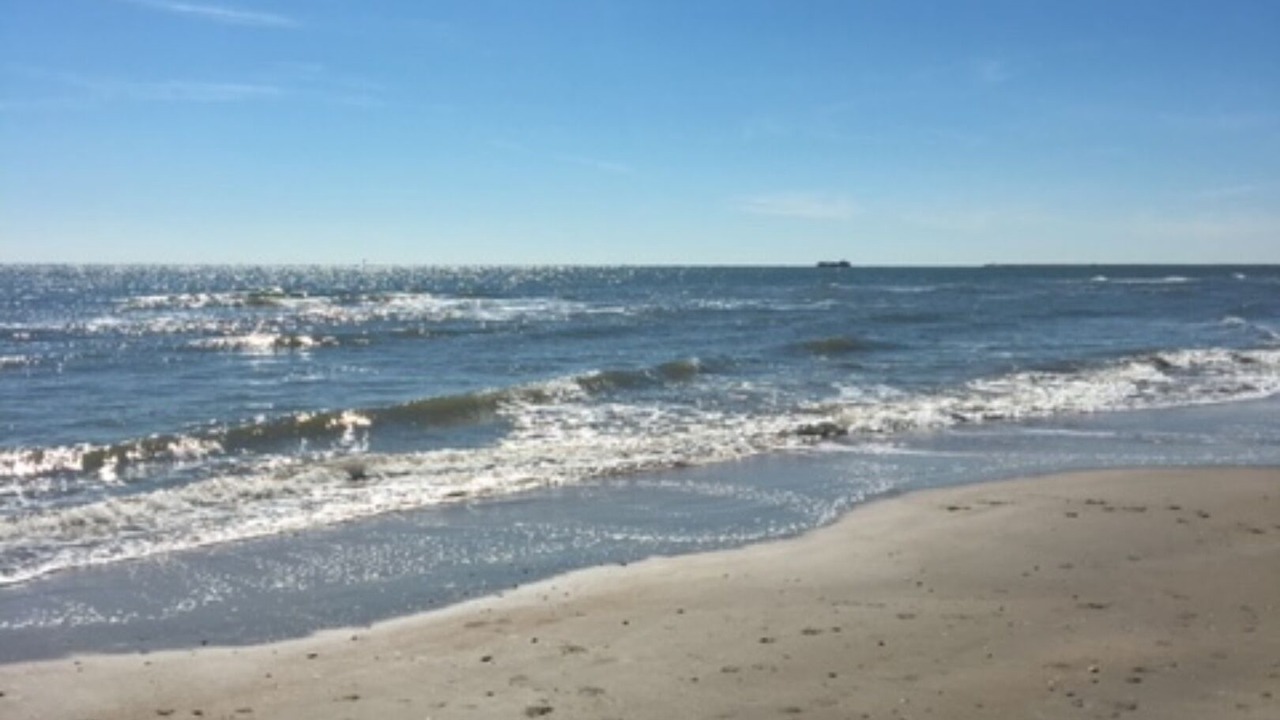 Photo of Others in Surfside Beach