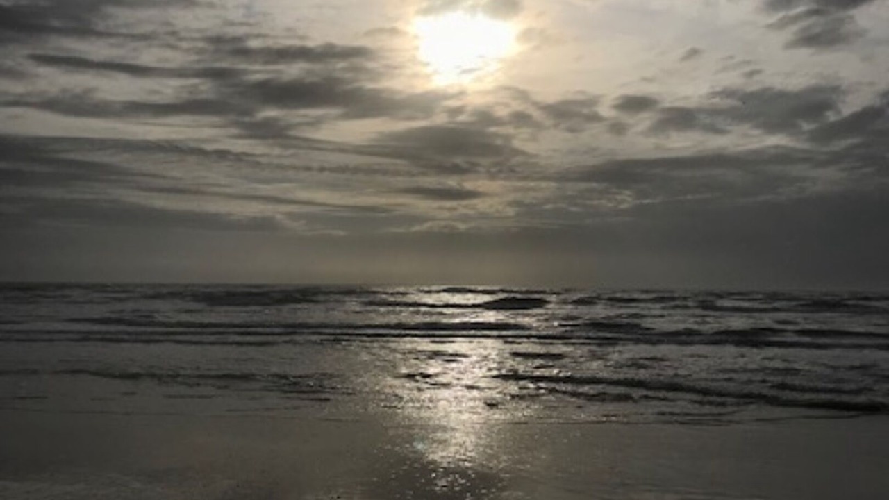 Photo of Others in Surfside Beach