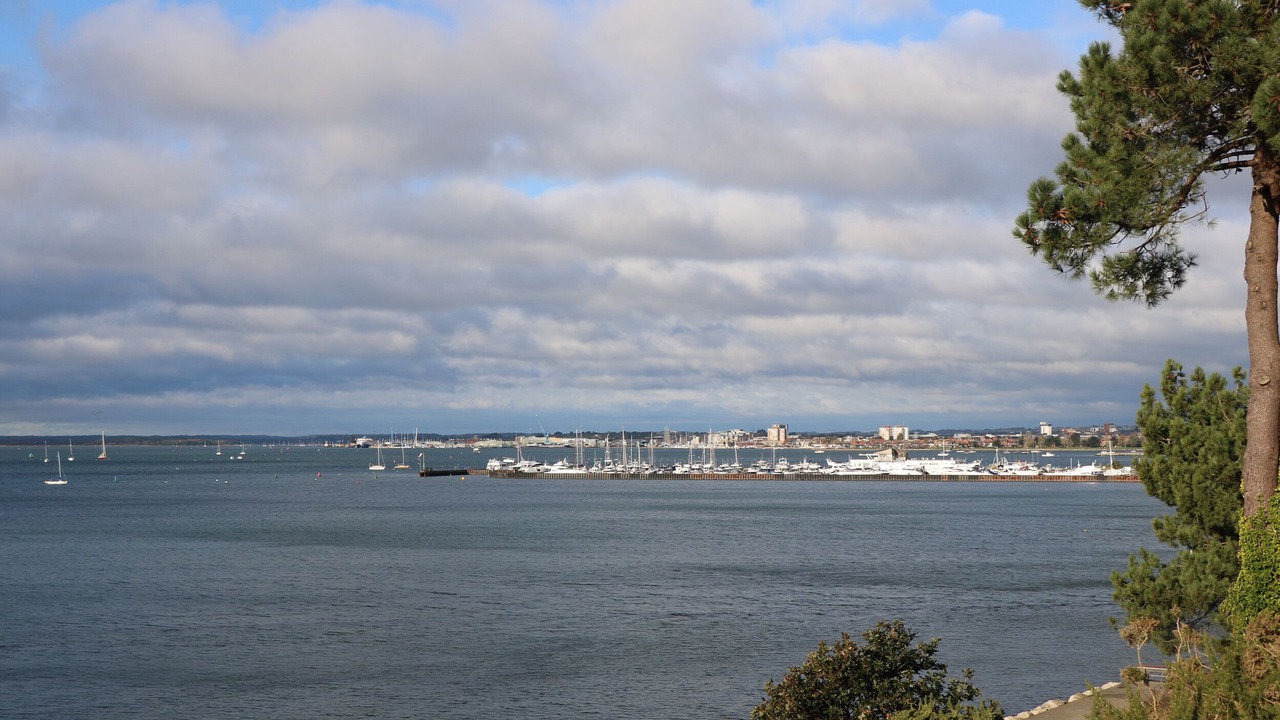 Photo of Others in Poole