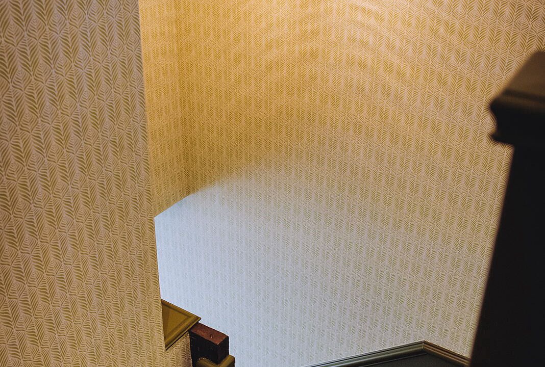 Photo of Others in Albury