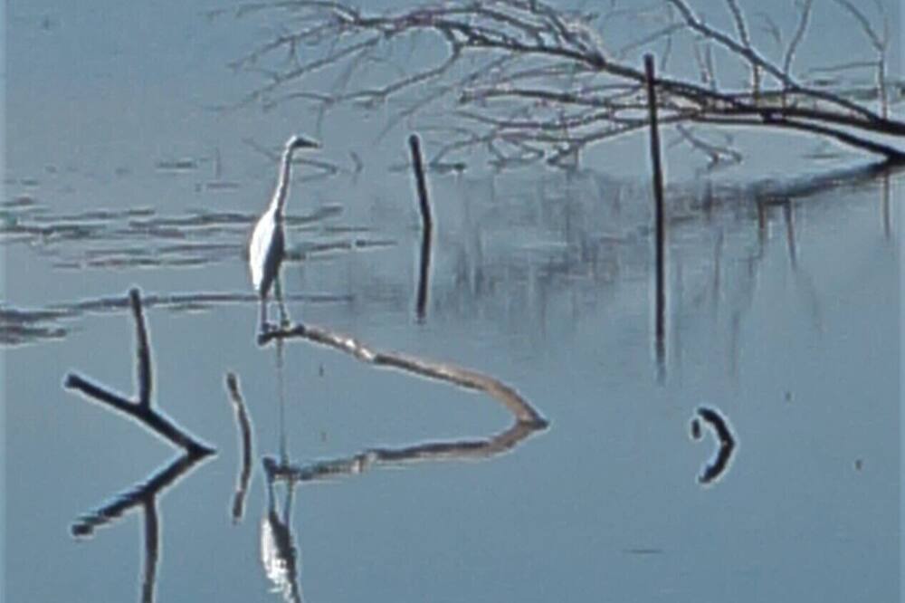 Photo of Others in Conway