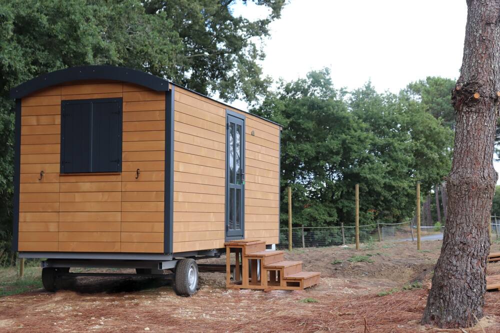 Photo of Others in Mees