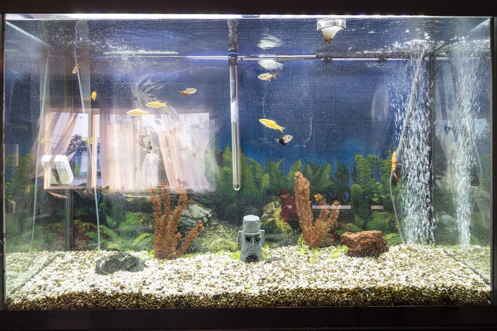 Photo of Others in Long Island