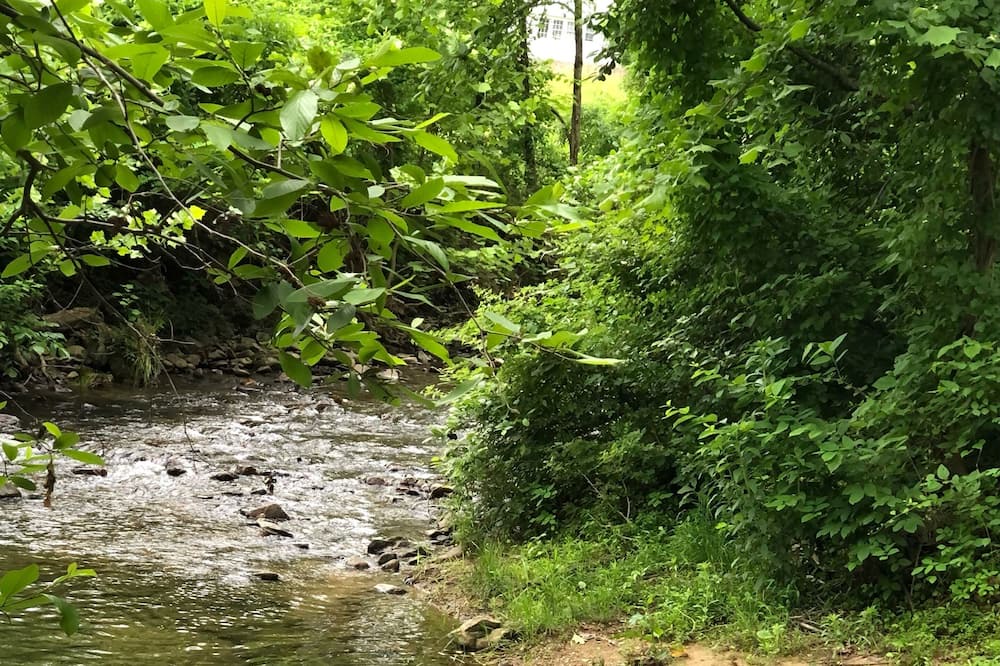 Photo of Outdoor in Dyke