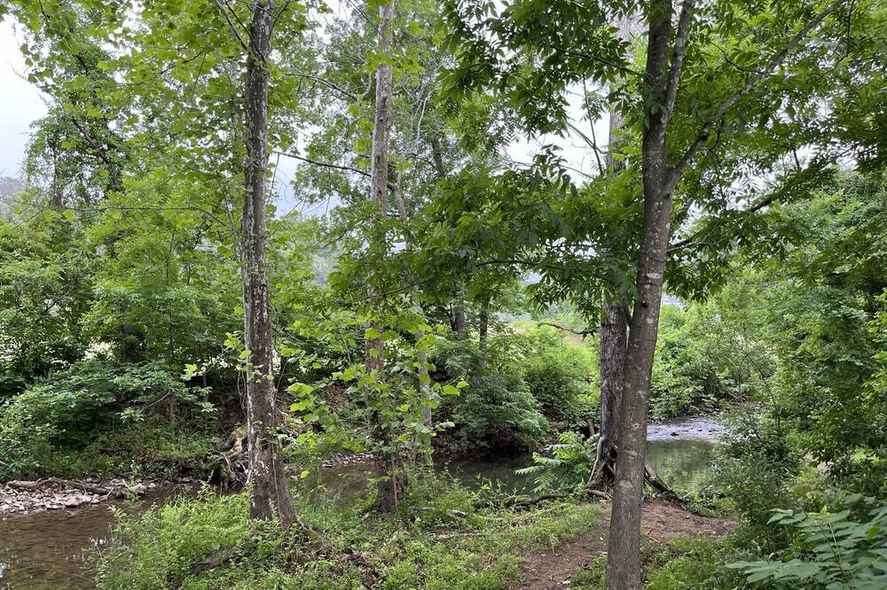 Photo of Outdoor in Dyke