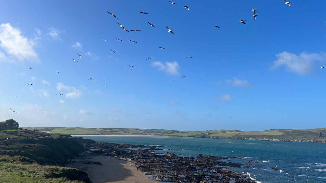 Photo of Others in Wadebridge