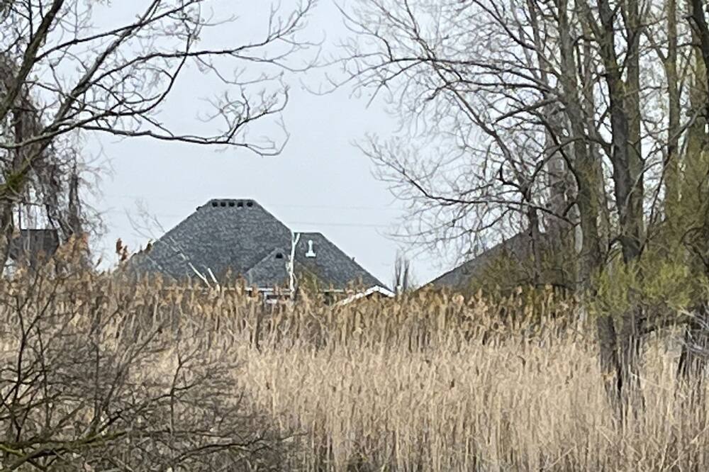 Photo of Others in Ruthven
