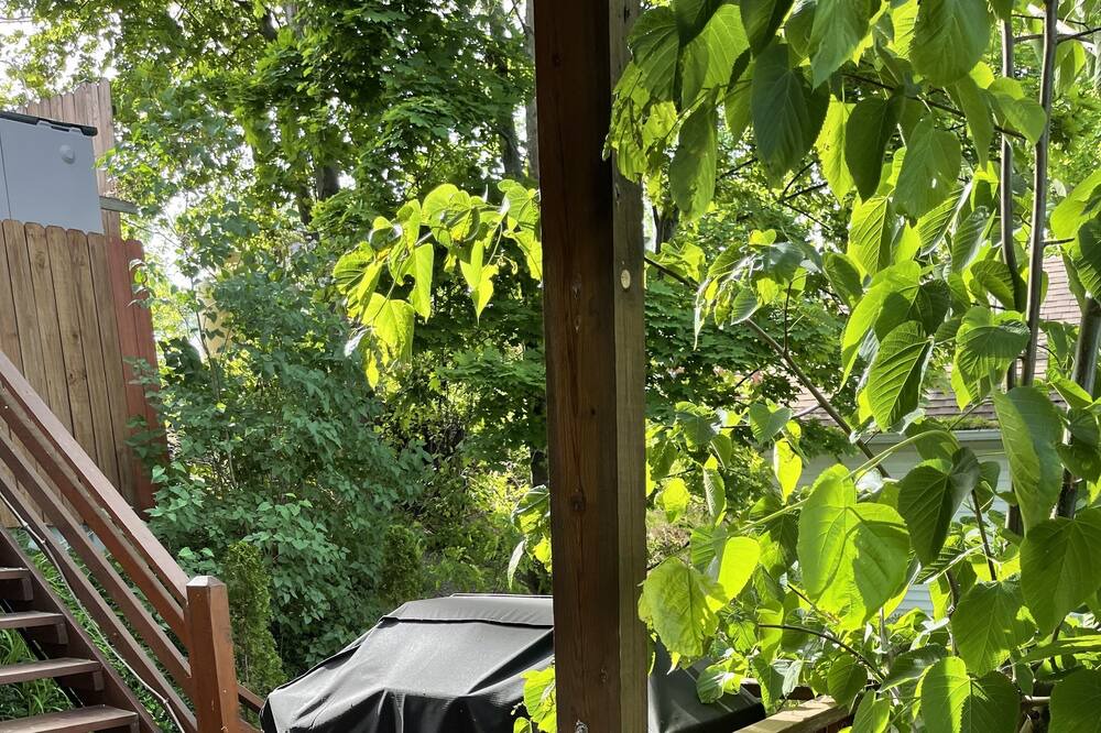 Photo of Patio Balcony in Town of Varick