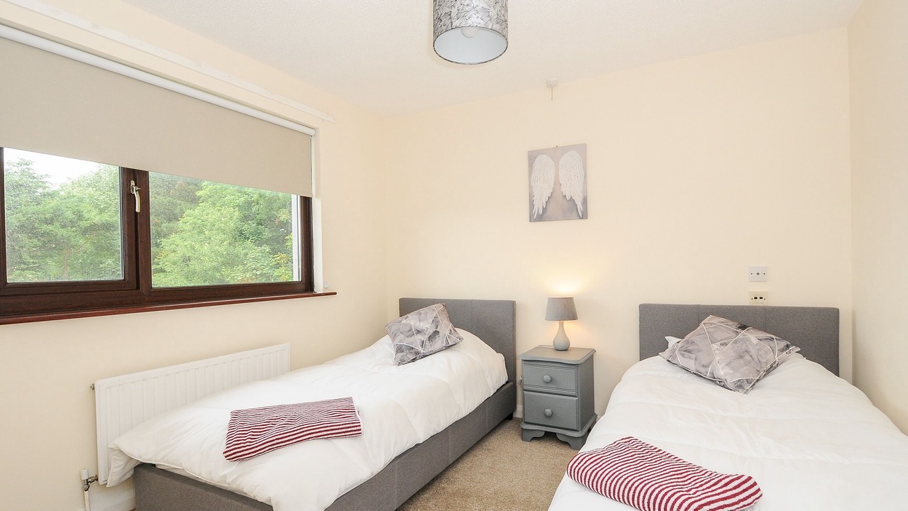 Photo of Others in Bude