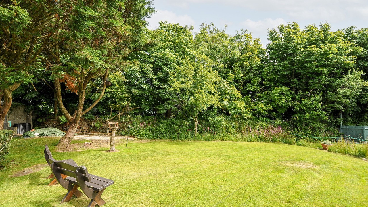 Photo of Others in Bude