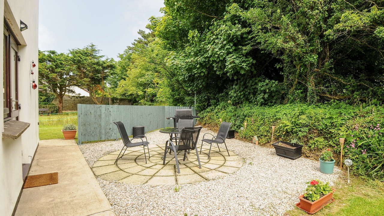 Photo of Others in Bude