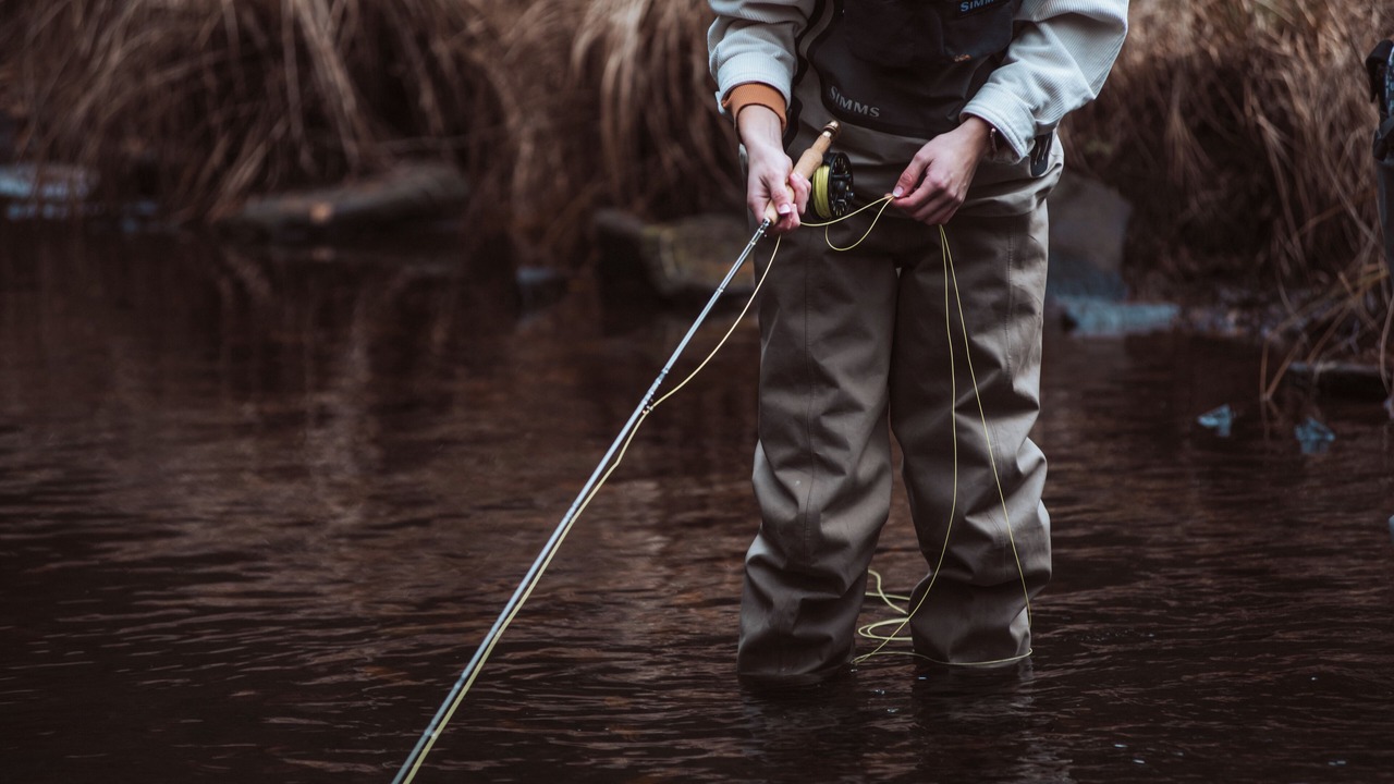 Photo of Others in White Lake