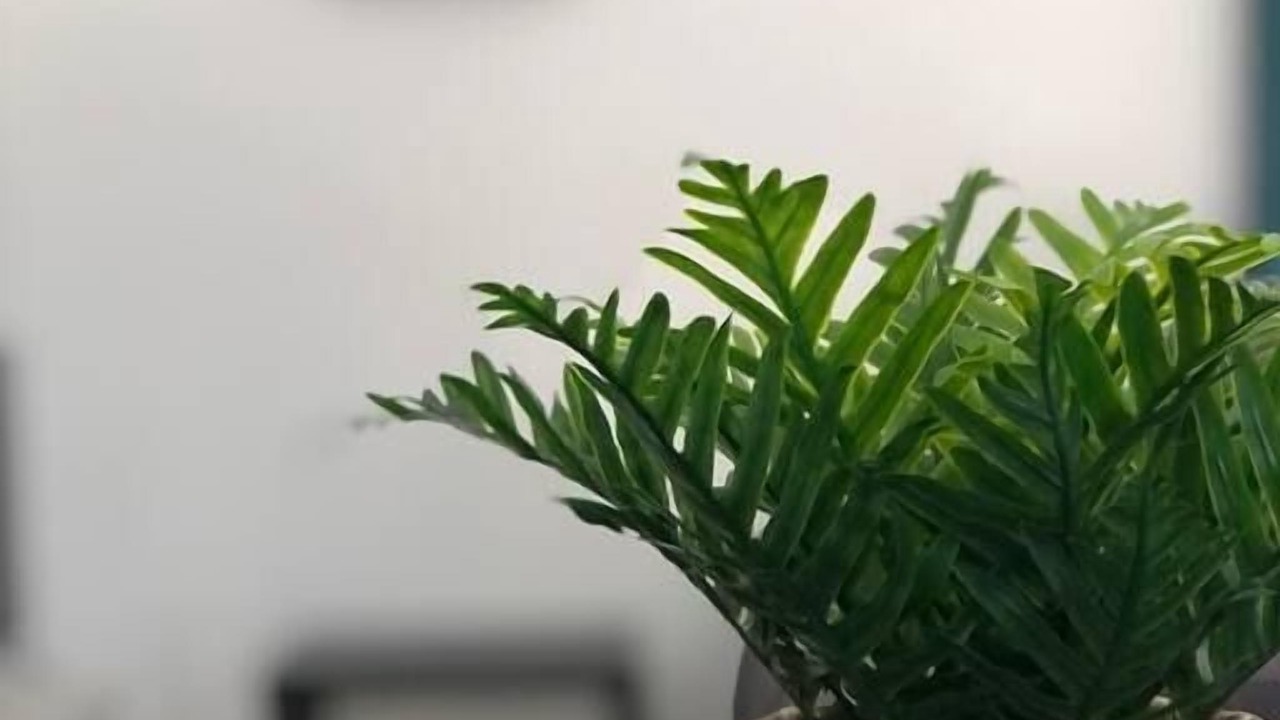 Photo of Others in Ver-sur-Mer