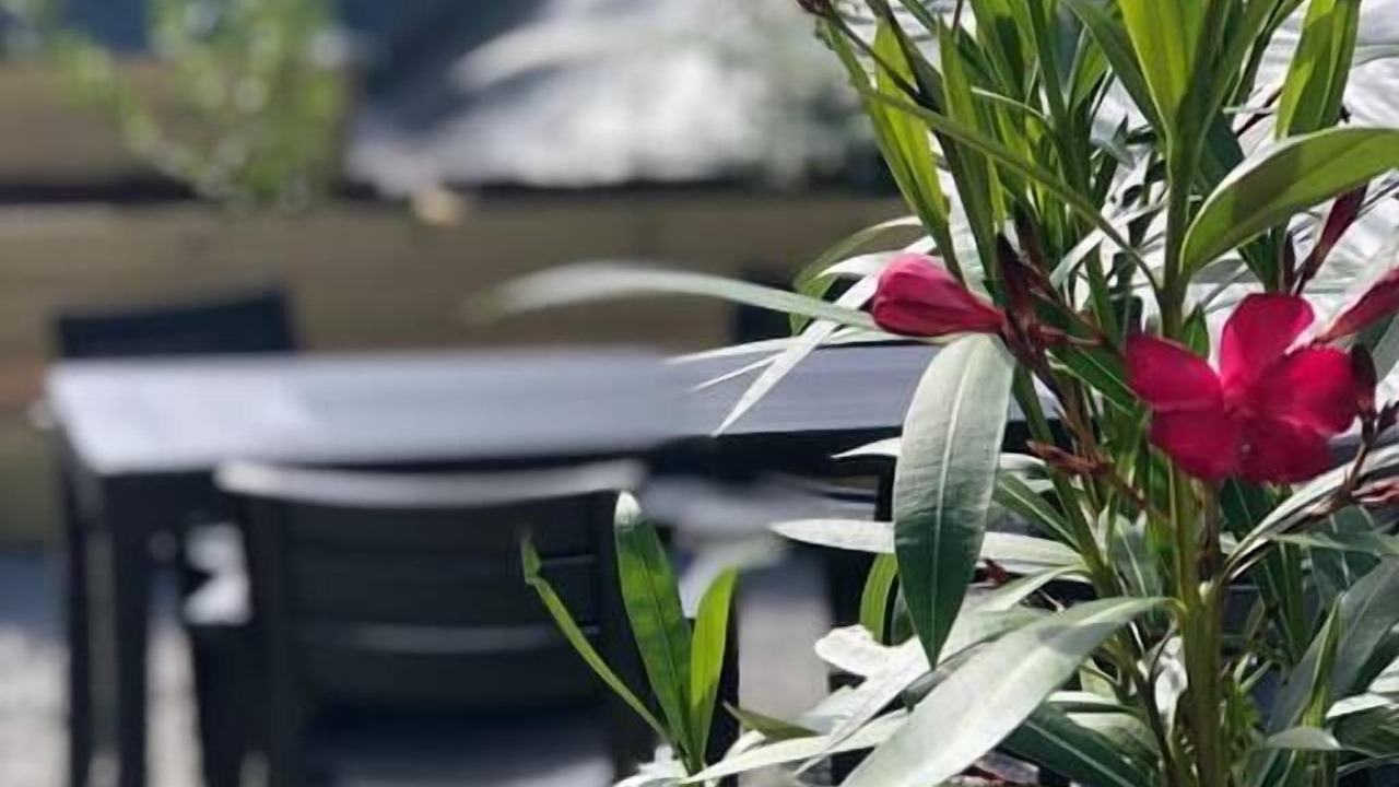 Photo of Outdoor in Ver-sur-Mer