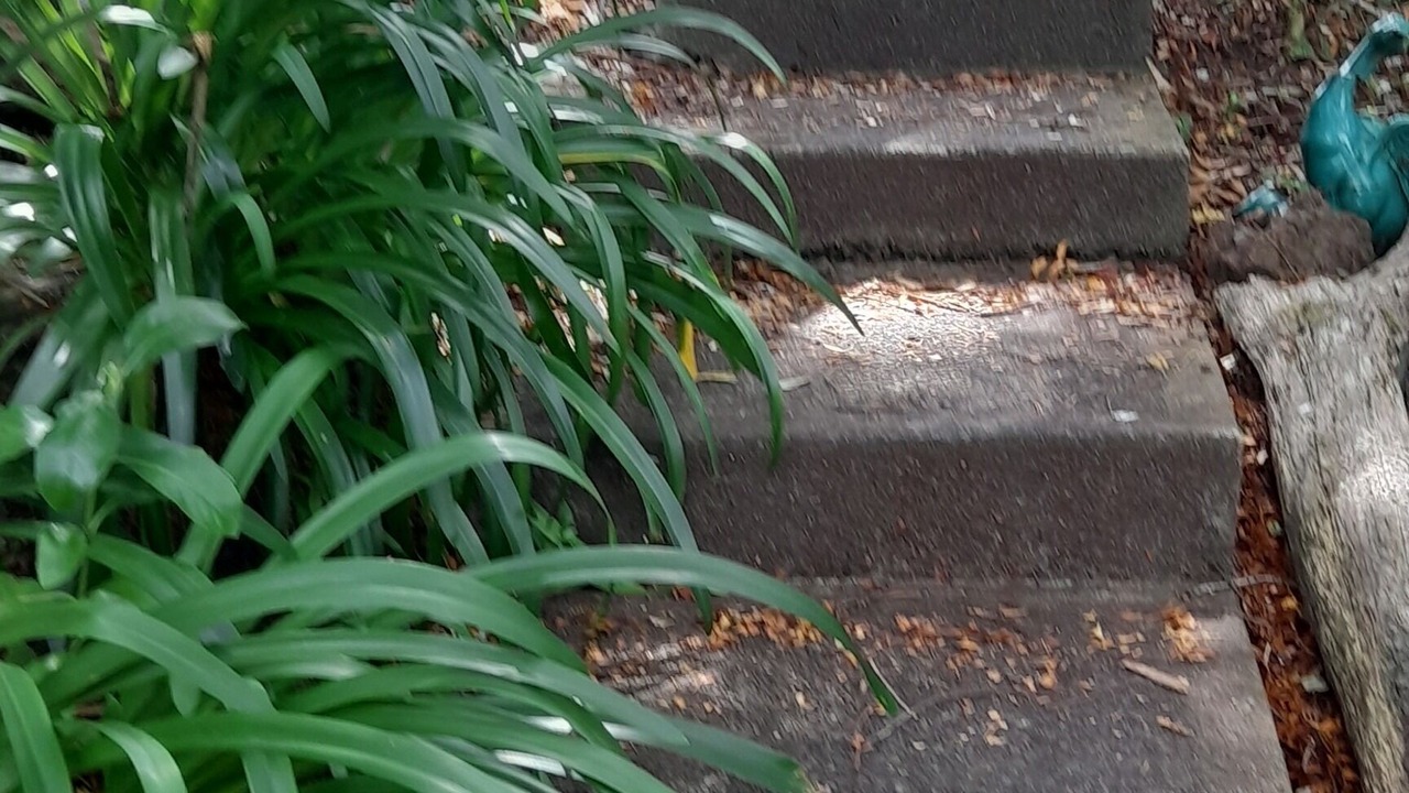 Photo of Outdoor in Birkenhead