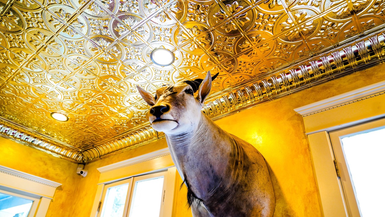 Photo of Kitchen in Metropolitan