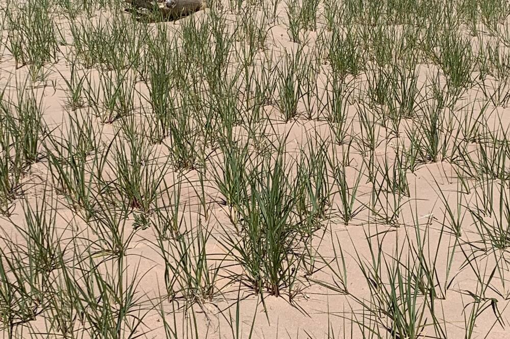 Photo of Outdoor in Morell