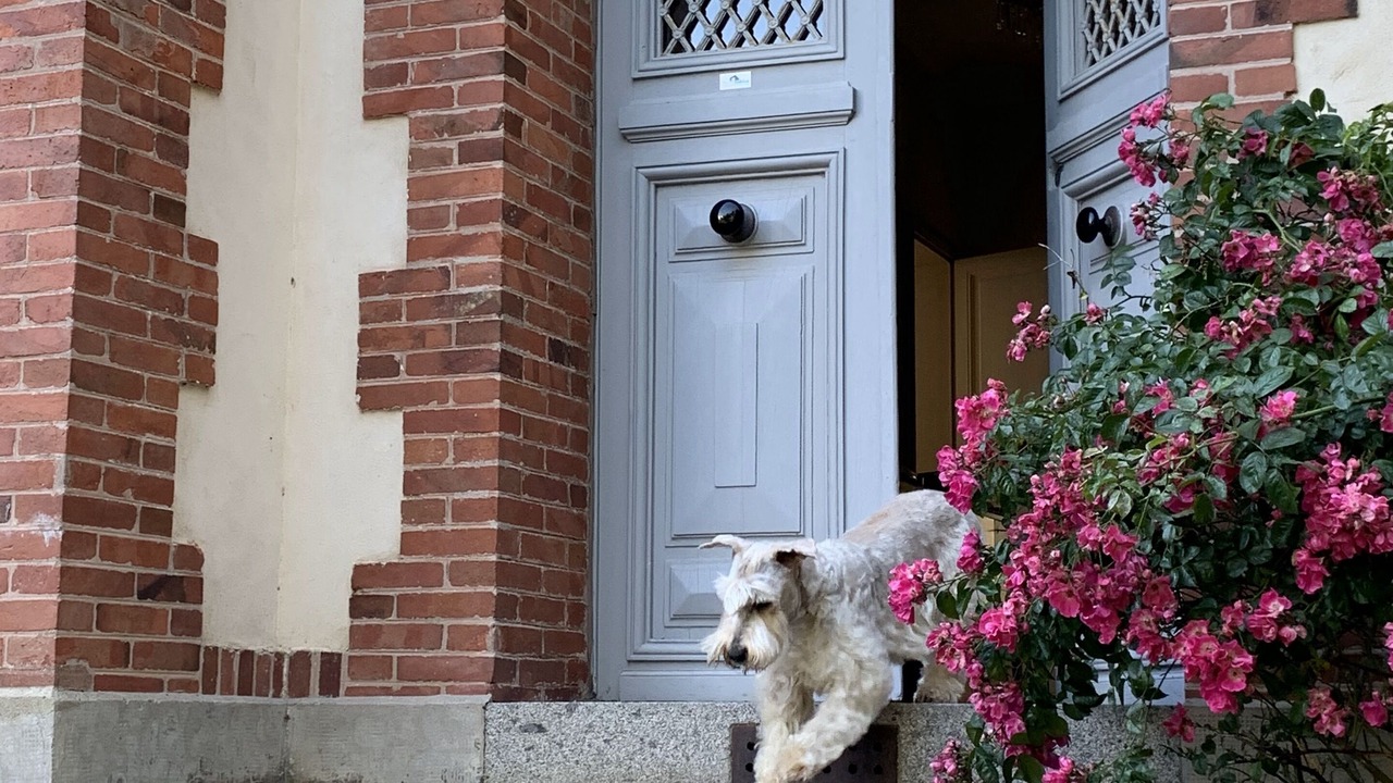 Photo of Outdoor in Coutances