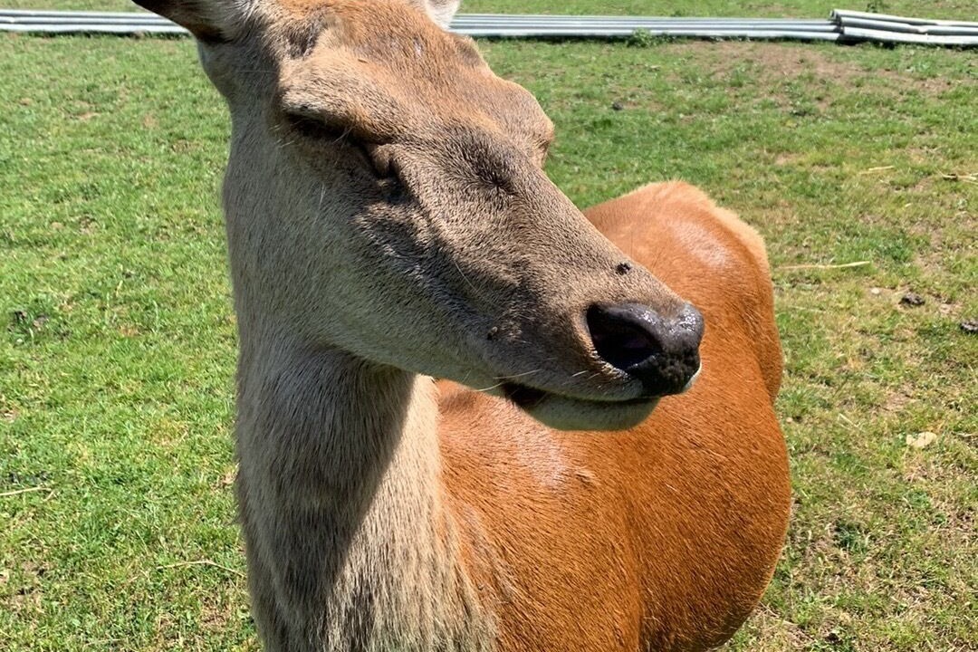 Photo of Outdoor in Anizy-le-Chateau