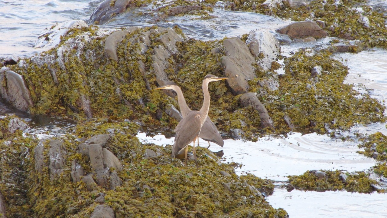 Photo of Outdoor in Cap-des-Rosiers