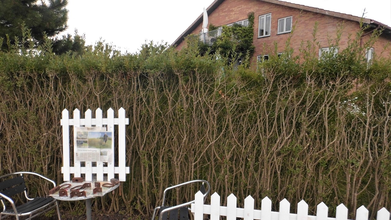 Photo of Outdoor in Thisted