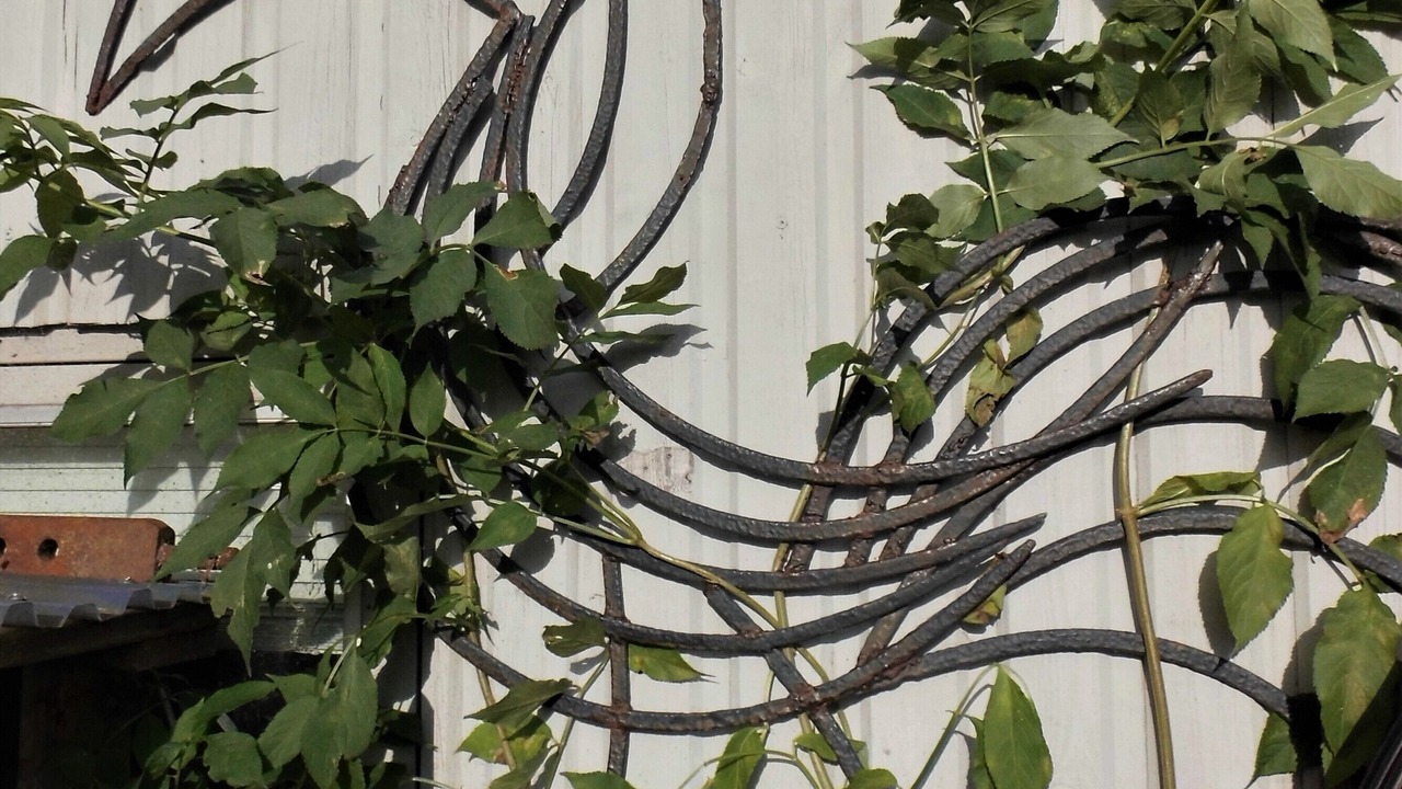 Photo of Others in Thisted