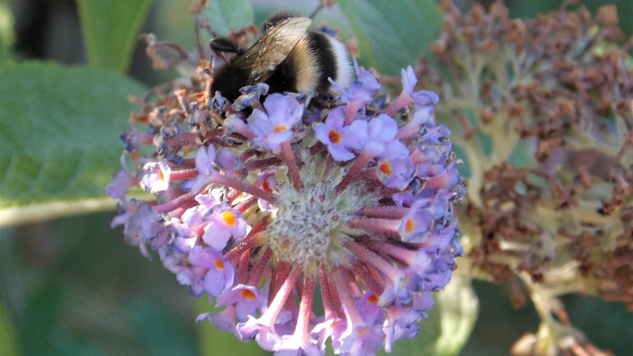 Photo of Outdoor in Thisted