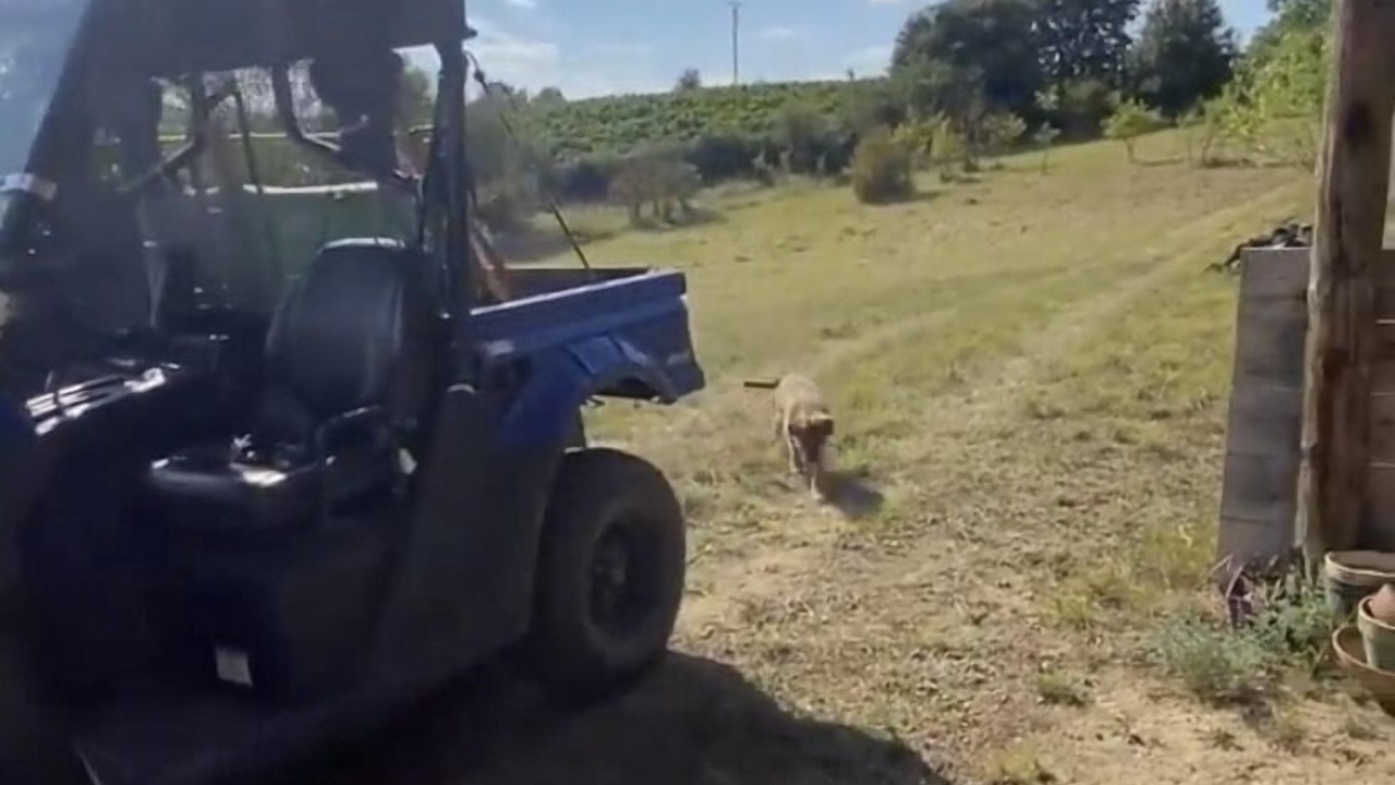 Photo of Others in Cailhau