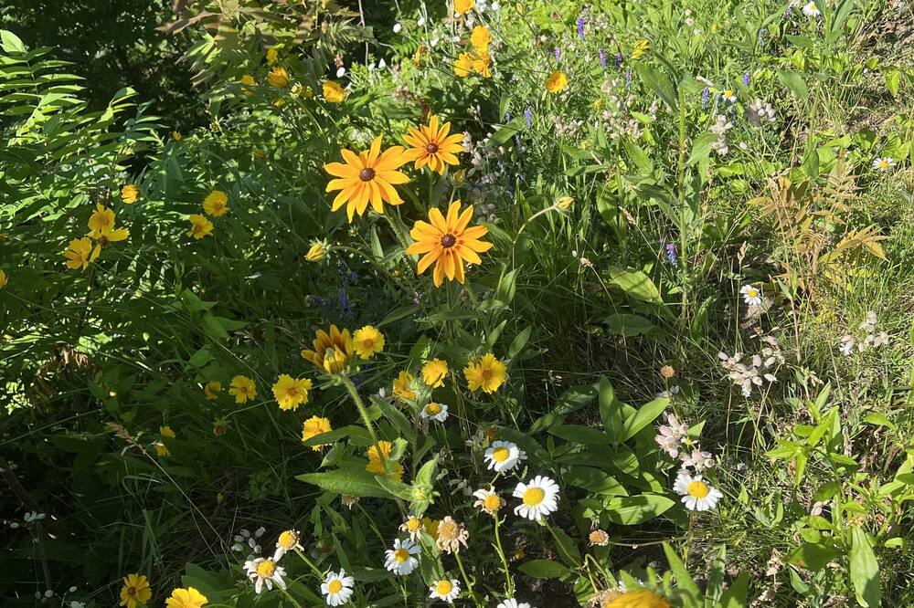 Photo of Outdoor in Grenville-sur-la-Rouge