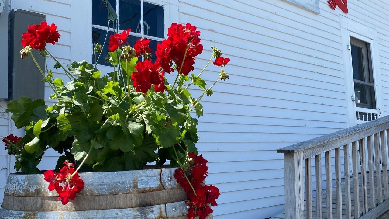 Photo of Others in Phippsburg