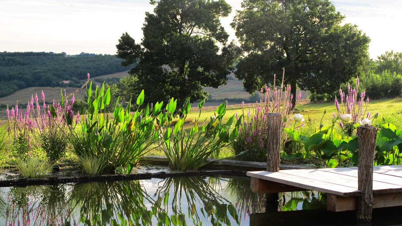 Photo of Outdoor in Marsac
