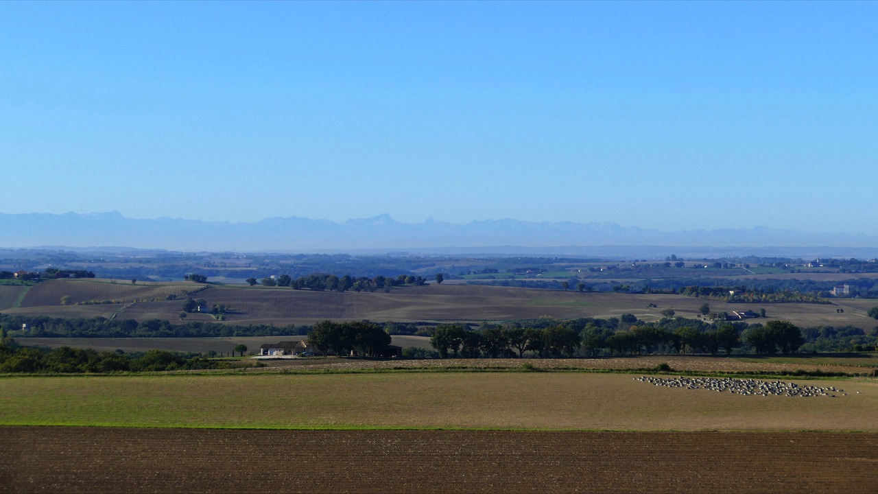 Photo of Others in Marsac