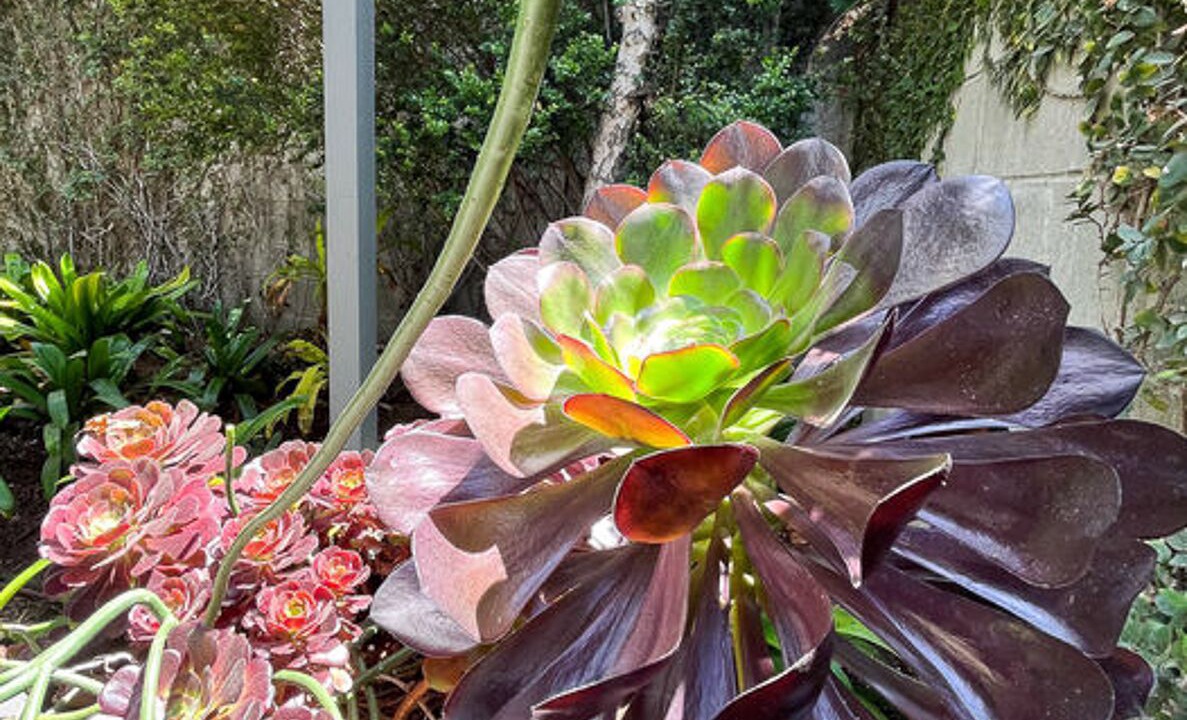Photo of Outdoor in Ocean Park