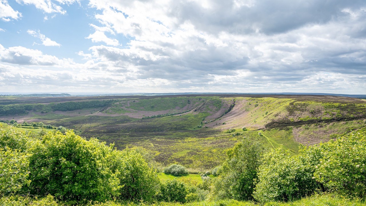 Photo of Others in Aislaby