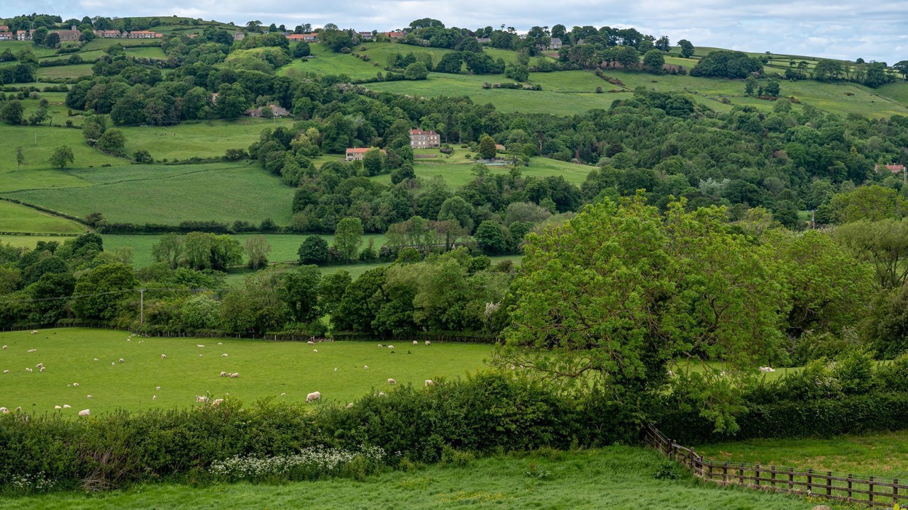 Photo of Outdoor in Aislaby