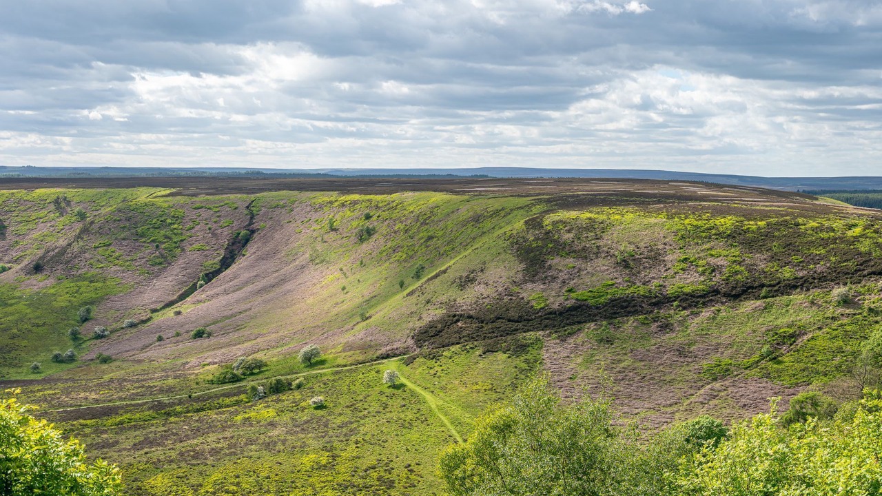 Photo of Others in Aislaby