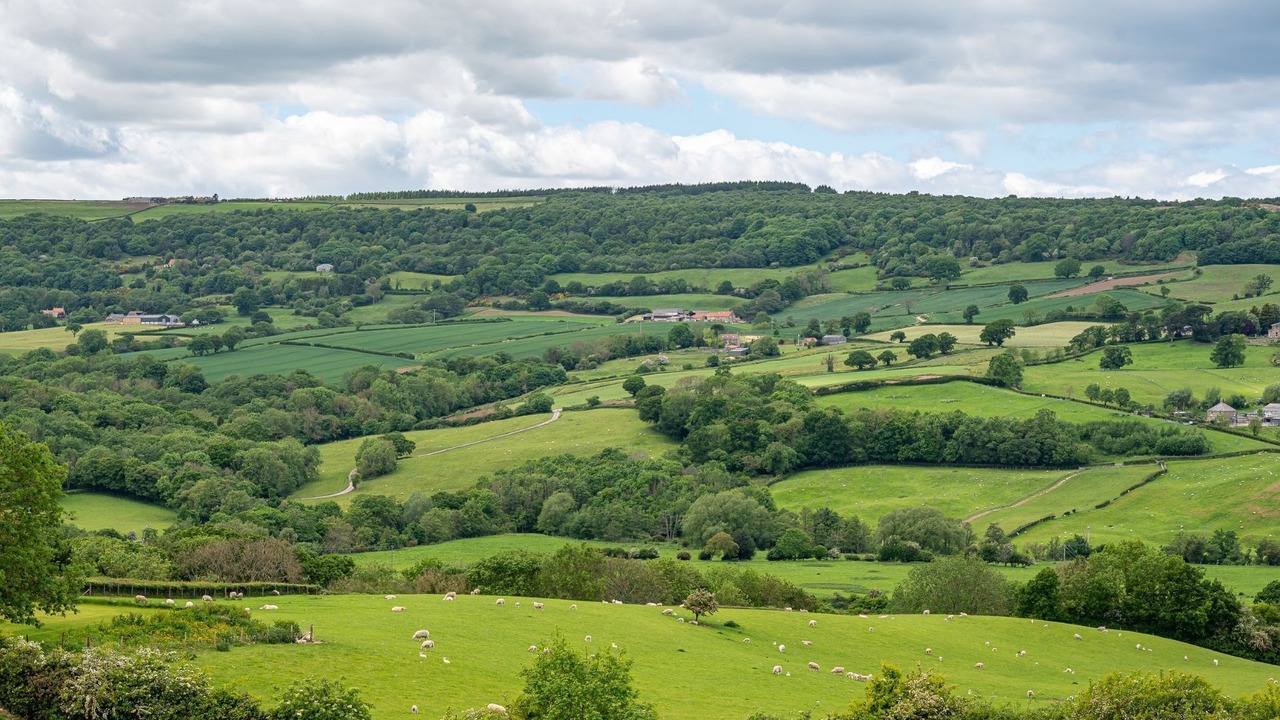 Photo of Others in Aislaby