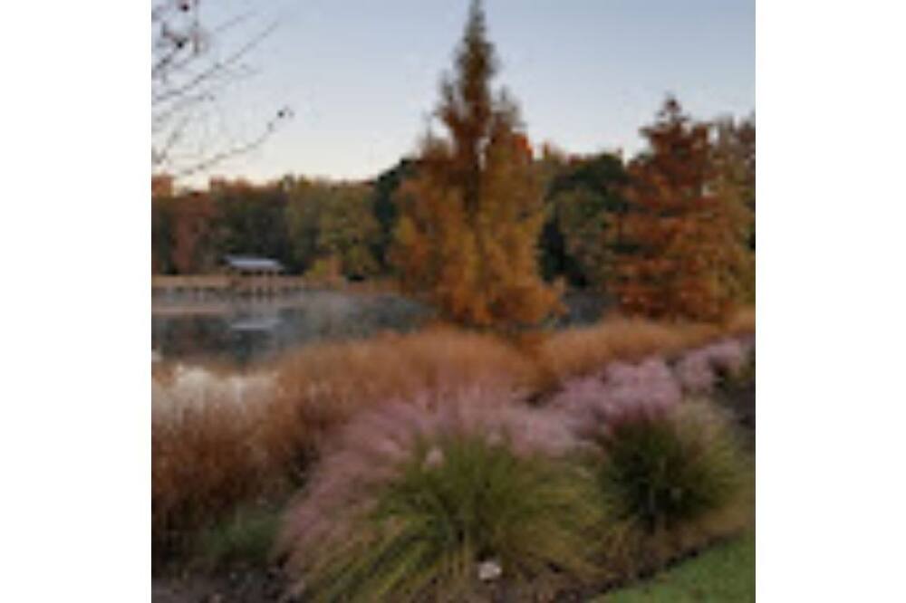 Photo of Outdoor in North Augusta