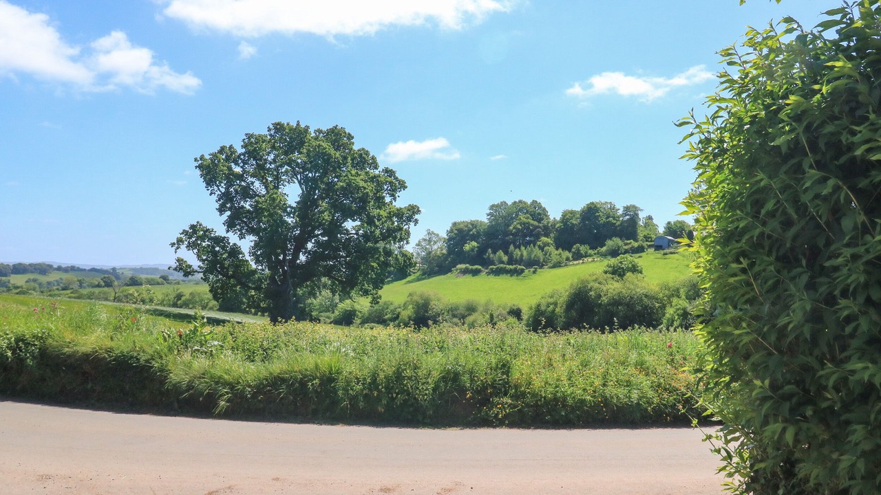 Photo of Others in Dunchideock