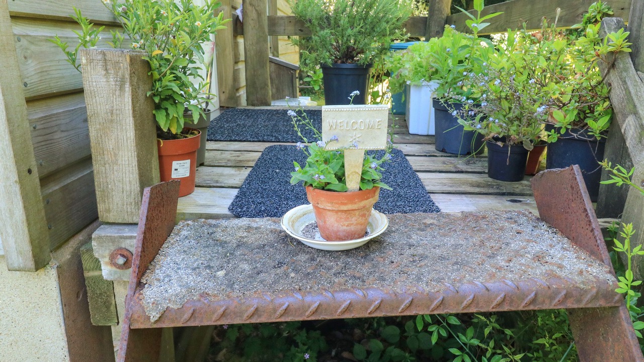 Photo of Others in Dunchideock