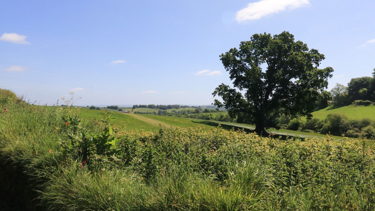 Photo of Others in Dunchideock