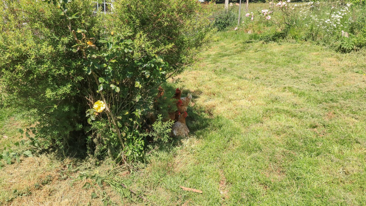 Photo of Others in Dunchideock