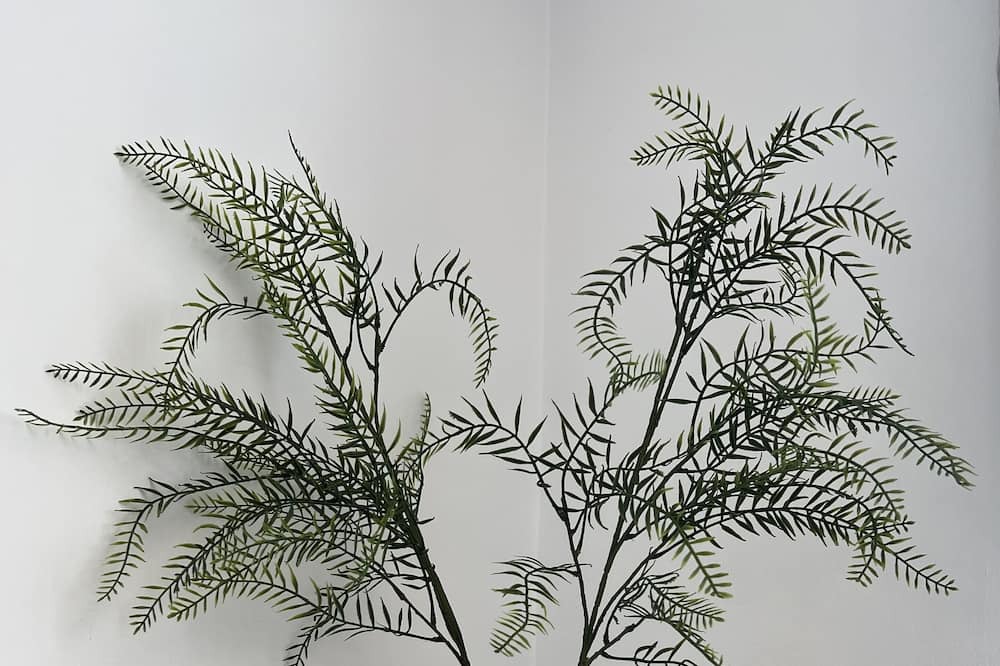 Photo of Others in Ilchester