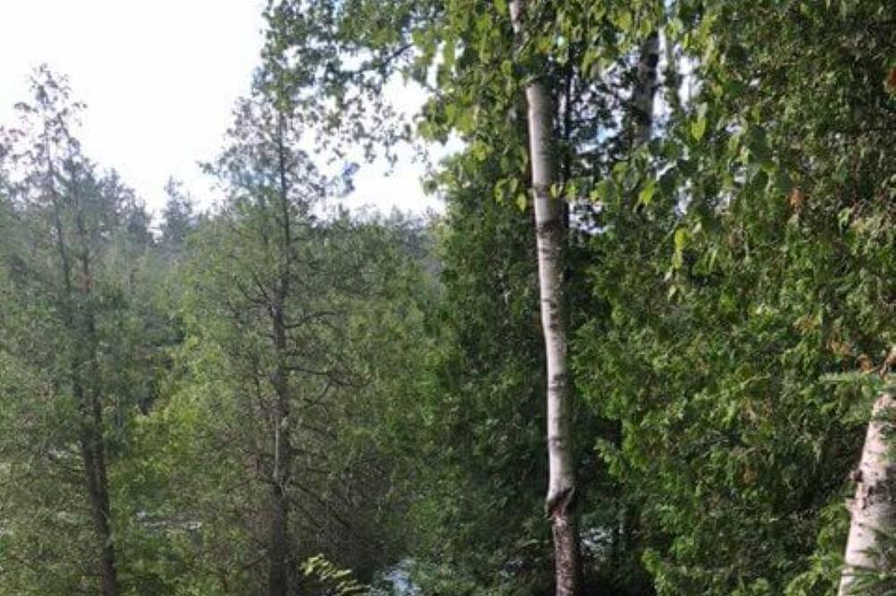 Photo of Others in South Bruce Peninsula