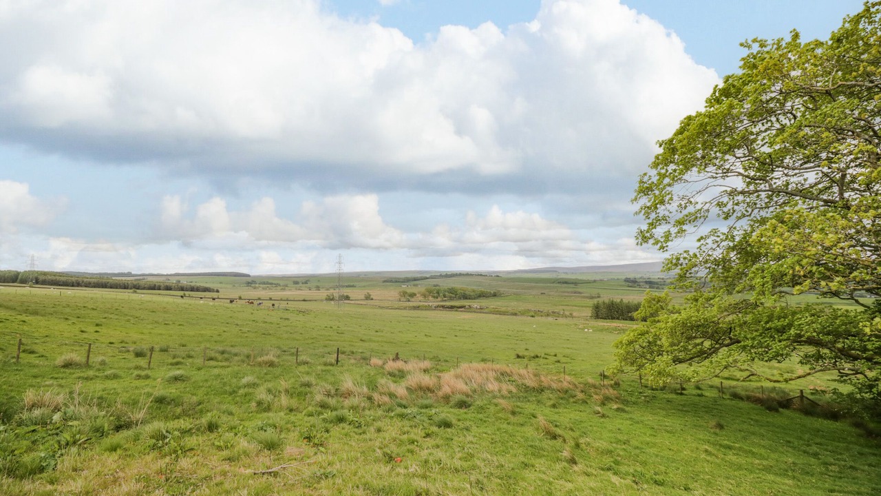 Photo of Others in Brampton