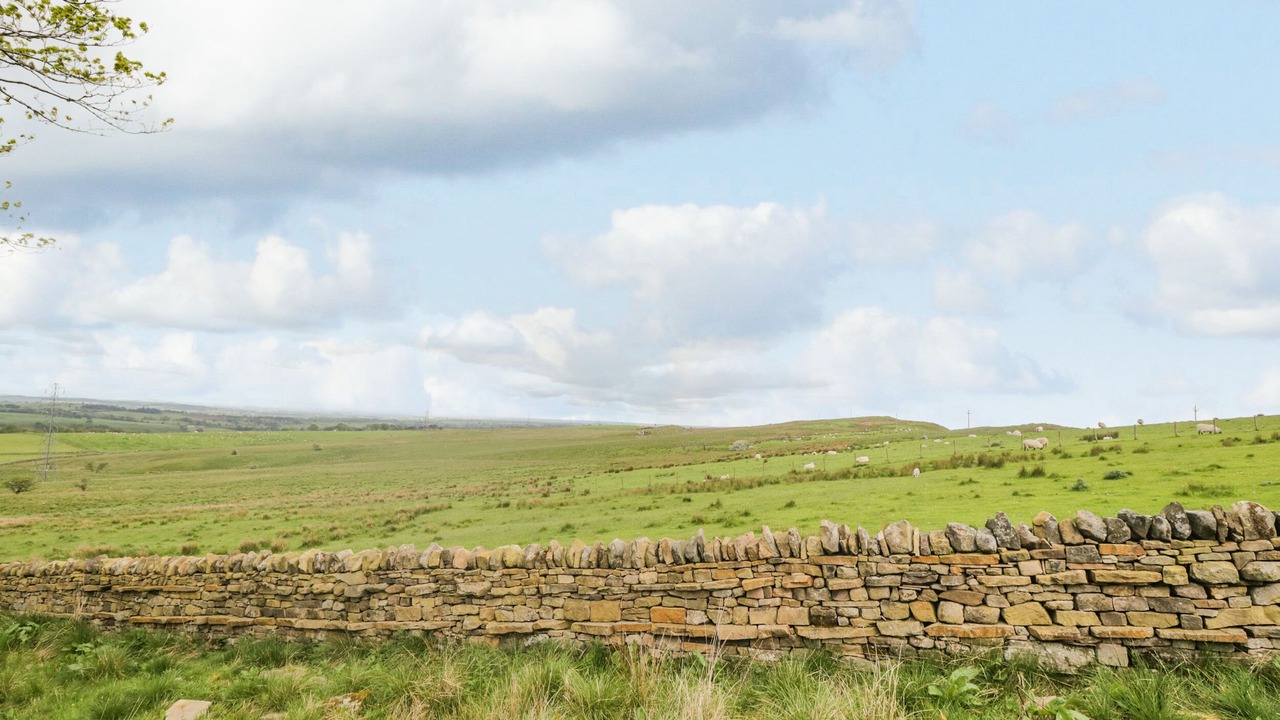 Photo of Others in Brampton